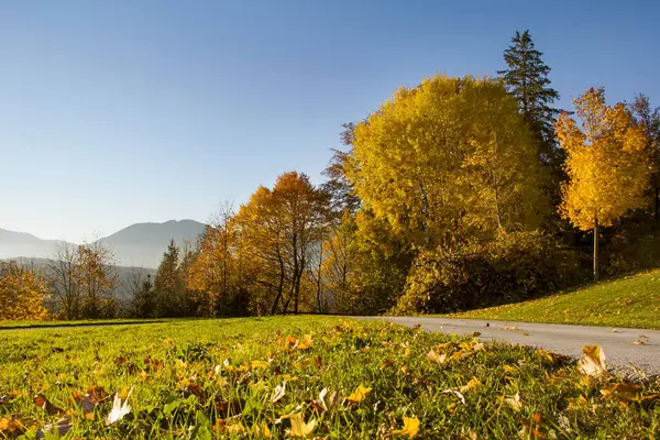 公园和高山的秋景 — 图库照片