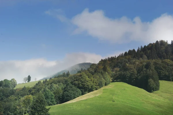 Typowy Krajobraz Austrii Wzgórzami Tło Letnie — Zdjęcie stockowe