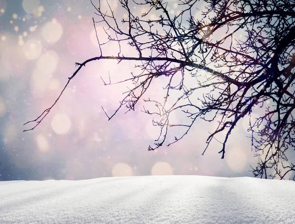Голубой Фон Неба Деревьями Снегом Вид Зимние Синие Огни Смещенный — стоковое фото
