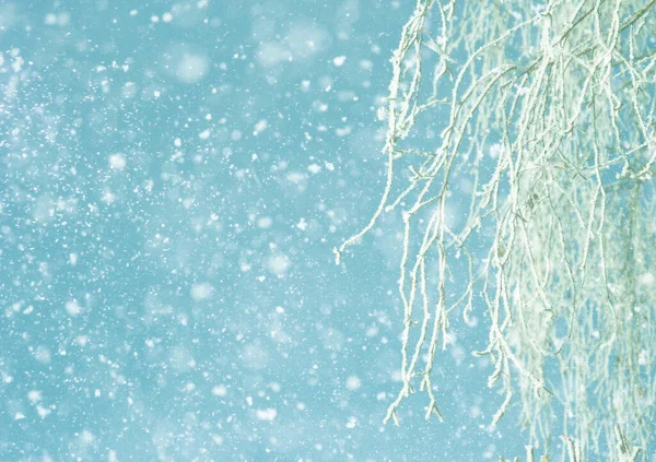 Зимний Фон Небом Деревьями Снегом Боке Смещенный Фокус — стоковое фото