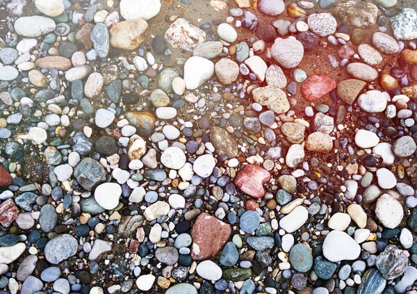 Різнокольорові Камені Гравій Вологому Річковому Піску — стокове фото