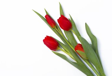 Buket, beyaz arka planda kırmızı tul, izole edilmiş.