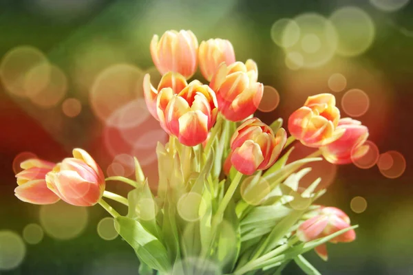 Весенний Цветочный Состав Тюльпанов Букете — стоковое фото