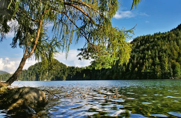 Lago Panarama Dia Ensolarado Hintersteiner See Lago Montanha Parque Nacional — Fotografia de Stock