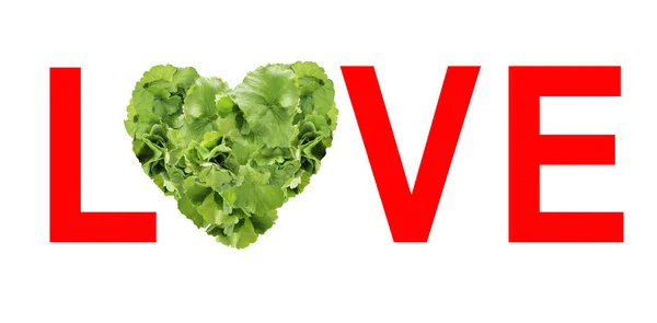 Sevgi. Sevgililer Günü için romantik metin