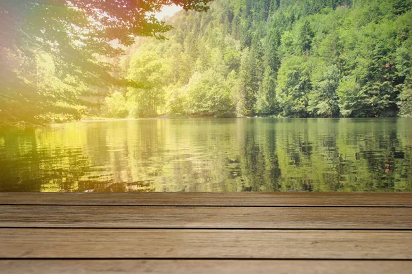 Yaz manzarası, dağ gölü ve orman, su kenarında.