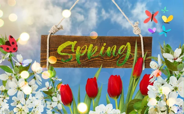 Hej Våren Affisch Med Vackra Festliga Blommor Röda Tulpaner Vit — Stockfoto