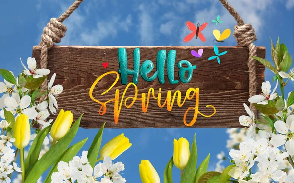 Hello Spring Poster Beautiful Festive Flowers Red Tulips White Cherry — Stock Photo, Image