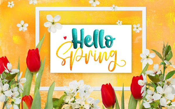 Hello Spring Poster Beautiful Festive Red Tulips White Cherry Flowers — Stock Photo, Image