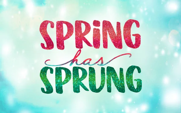 Spring Has Sprung Lettering Blue Sky Background Sunlight Boke — Stock Photo, Image