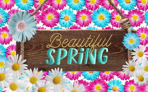 Beautiful Spring Time Poster Festive Gerbera Chamomile Flowers Lettering Wood — Stock Photo, Image