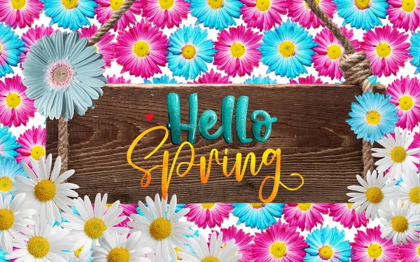 Hello Spring Time Poster Festive Gerbera Chamomile Flowers Lettering Wood — Stock Photo, Image