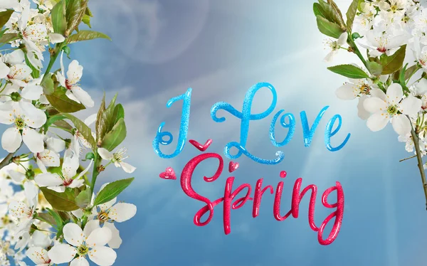 Beyaz kiraz çiçekleri ve mavi gökyüzü arkaplanı ve güneş ışığı ile yazıları seviyorum.