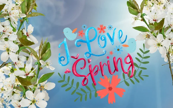 Miluju Jarní Nápisy Bílými Třešňovými Květy Modrou Oblohou Pozadí Sluncem — Stock fotografie