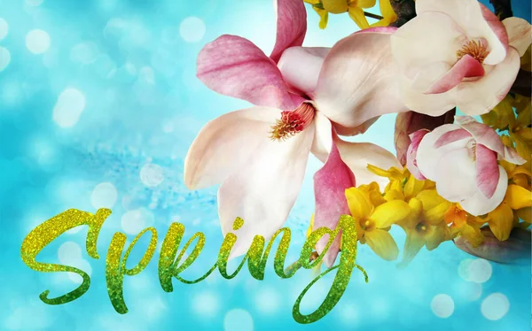 Spring Card Beautiful Magnolia Flower Blue Boke Background Decorative Floral — Stock Photo, Image