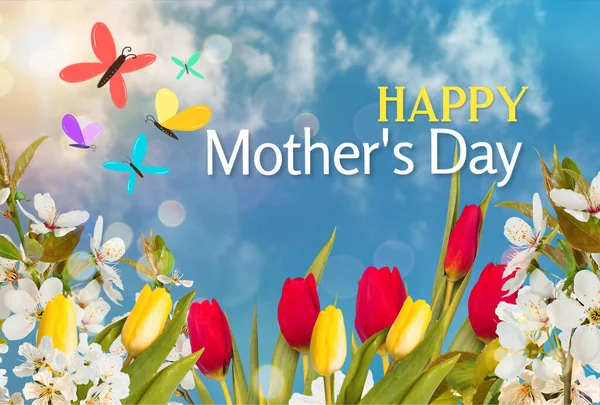 Mutlu anneler günü tebrik kartı ile güzel çiçekler kırmızı-sarı laleler ve mavi gökyüzü arka planında bulutlu beyaz kiraz