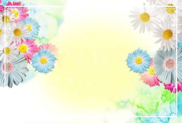 Tebrik kartı için sarı arka plan, mavi suluboya, beyaz papatya çiçekleri, pembe ve mavi Gerbera çiçekleri