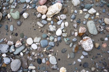 Islak nehir kumu üzerinde çok renkli taşlar ve çakıllar