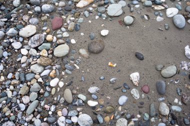 Islak nehir kumu üzerinde çok renkli taşlar ve çakıllar