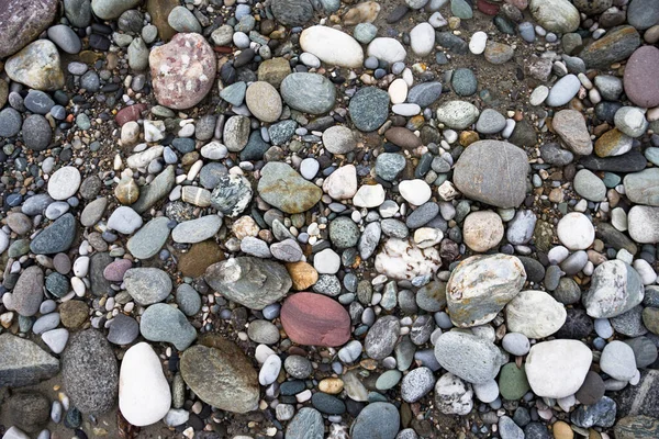 Bunte Steine Und Kies Auf Nassem Flusssand — Stockfoto