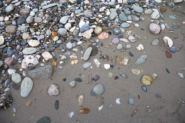 Bunte Steine Und Kies Auf Nassem Flusssand — Stockfoto