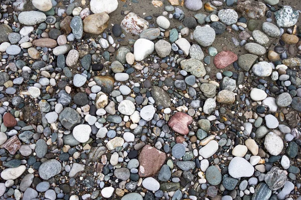 Multicolored stones and gravel on wet river sand