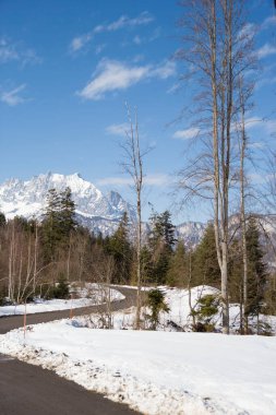 Ormanda kış güneşli bir gün. Ağaçlar, dağlar ve mavi gökyüzü arka planlı kar. Avusturya. Tirol