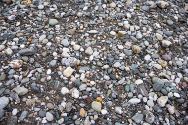 Islak nehir kumu üzerinde çok renkli taşlar ve çakıllar