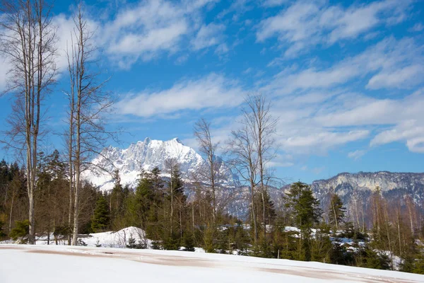 Winter Zonnige Dag Het Bos Bomen Bergen Sneeuw Met Blauwe — Stockfoto