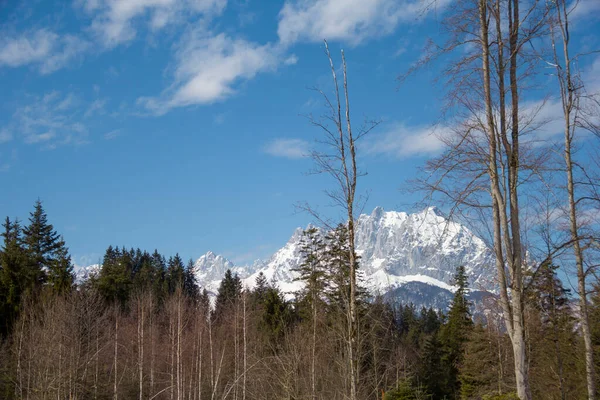 Winter Zonnige Dag Het Bos Bomen Bergen Sneeuw Met Blauwe — Stockfoto