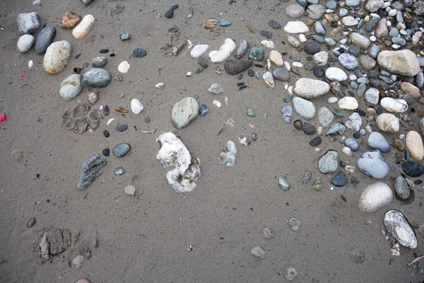 Mnohobarevné Kameny Štěrk Mokrém Říčním Písku — Stock fotografie