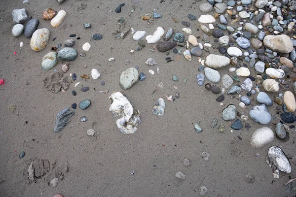 Bunte Steine Und Kies Auf Nassem Flusssand — Stockfoto