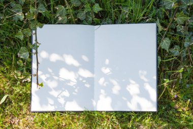 Açık albüm parktaki yeşil çimlerin üzerinde yer almaktadır. Çimenlikteki beyaz çarşaf, tasarımın için boş alan, maket yap