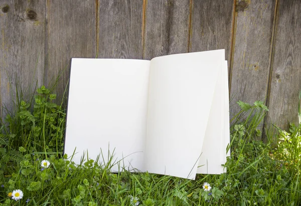 Açık albüm parktaki yeşil çimlerin üzerinde yer almaktadır. Çimenlikteki beyaz çarşaf, tasarımın için boş alan, maket yap