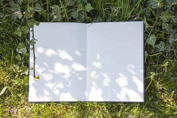 Açık albüm parktaki yeşil çimlerin üzerinde yer almaktadır. Çimenlikteki beyaz çarşaf, tasarımın için boş alan, maket yap
