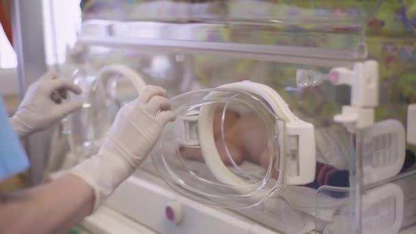 Doctor opens a window in a baby incubator. — Stock Video