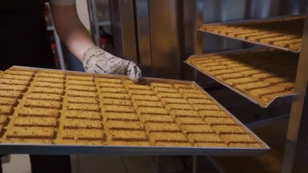 Kuchař umístí do speciálního regálu tác na pečení s obdélníkovou sušenkou — Stock video