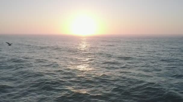 Luftaufnahme der Drohne gleiten über die Meeresoberfläche im Sonnenlicht und Möwe, goldene Stunde Sonnenuntergang. Filmkamera fliegt über Meereswellen, Sonne am Horizont, klarer Himmel — Stockvideo