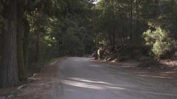 MIRADOURO DA PEDRA BELA, ΠΟΡΤΟΓΑΛΙΑ, ΝΟΕΜΒΡΙΟΣ 2019: Αυτοκίνητα που οδηγούν στον ασφαλτοστρωμένο δρόμο περνώντας μέσα από το καταπράσινο δάσος της Πορτογαλίας. Φύση, τοπίο, μεταφορές και οδικό δίκτυο. — Αρχείο Βίντεο