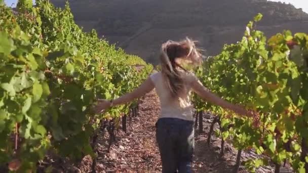 Young caucasian woman running through a vineyard. Happy girl running between the rows of vines — Stock Video