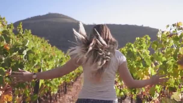 Movimento lento da jovem caucasiana correndo e pulando de alegria com braços levantados entre as fileiras de uma vinha e tocando as plantas de uva vermelha em um sol. Fechar — Vídeo de Stock