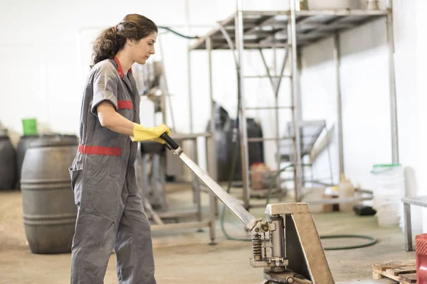 Mujer Con Carretilla Elevadora Lista Para Transportar Productos — Foto de Stock