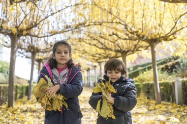 Sonbahar yapraklı kardeşler sonbahar günü oynamaya hazır.