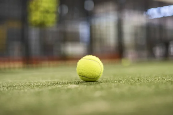 Paddle tênis ou bola de tênis no campo interior fotografado com profundidade rasa de campo com luz natural — Fotografia de Stock
