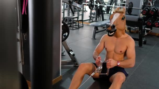 Fitness Horseface Training Weights — Stock Video