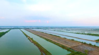 Mangrove plajı gün batımından önce