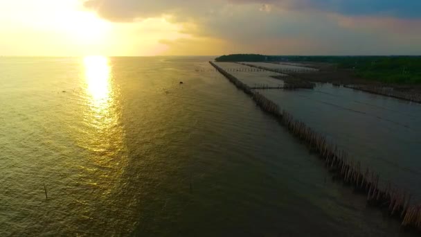 Mangrove Strand Voor Zonsondergang — Stockvideo