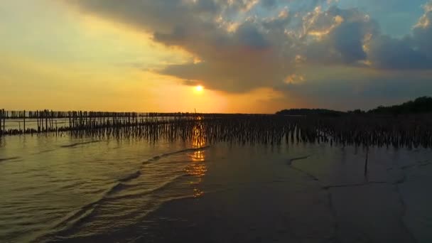 Mangrove Stranden Före Solnedgången — Stockvideo