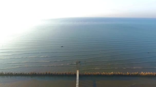 Playa Manglares Antes Del Atardecer — Vídeo de stock