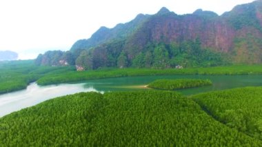 Mangrove Ormanı Gökyüzü